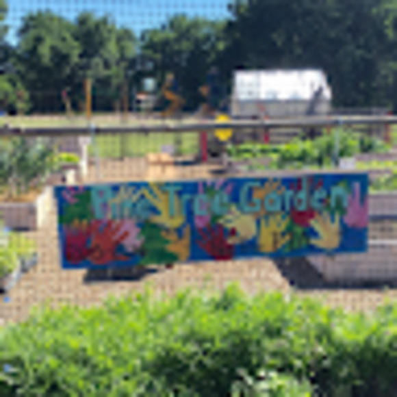 Meet your Posher, Toni-anne - Picture 1 of 1